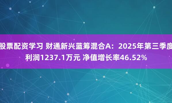 股票配资学习 财通新兴蓝筹混合A：2025年第三季度利润1237.1万元 净值增长率46.52%